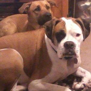 Meet your Posher, Anne